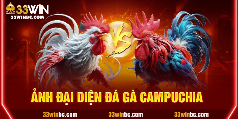 ảnh đại diện đá gà campuchia