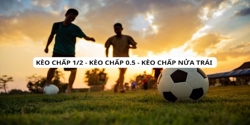 Giới thiệu về kèo chấp 1/2 tại sân chơi cá cược 33WIN